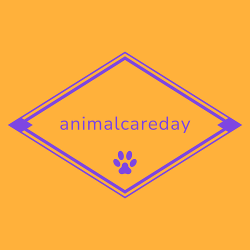 Animalcareday